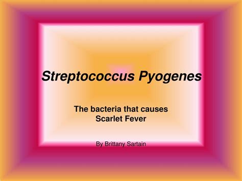 Ppt Streptococcus Pyogenes Powerpoint Presentation Free Download