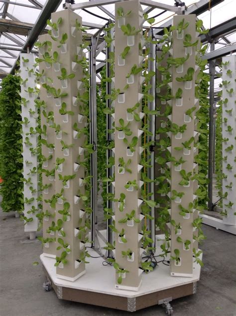 Aero Pod Growing 608 Plants With 10 Foot Columns Hydroponic