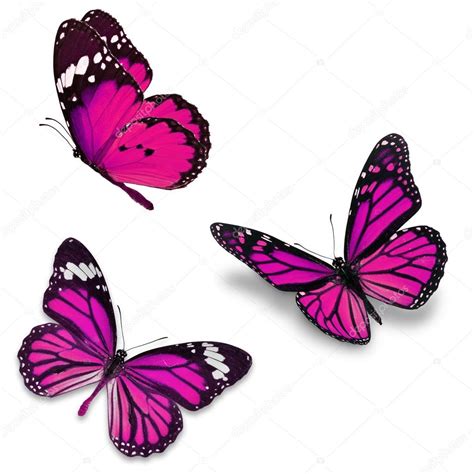 Three Pink Butterfly Stock Photo By ©thawats 70653785