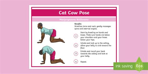 Yoga Cat Cow Pose Step By Step Instructions Twinkl