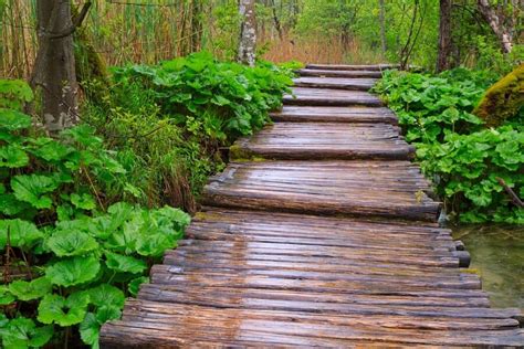 50 Wooden Walkway Ideas For Landscaping Brilliance In 2024