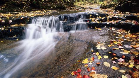 Autumn Waterfall Wallpaper 57 Images