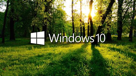Windows 10 In The Green Forest White Logo With Text Wallpaper