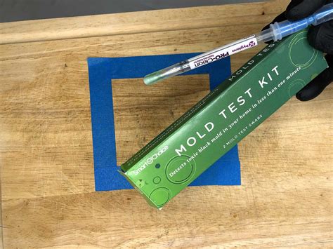 The Best Diy Mold Test Kits 2023 Lab Results Are They Worth It The Mold Insider