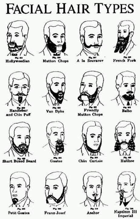 Mustache Beard Styles Chart