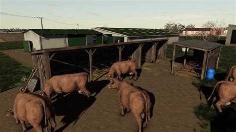 How To Cows Fs19