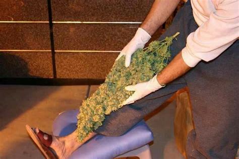 Weed Porn HUGE ASS BUD Cannabis Uy Mary Jane 3 Bud Porn Big