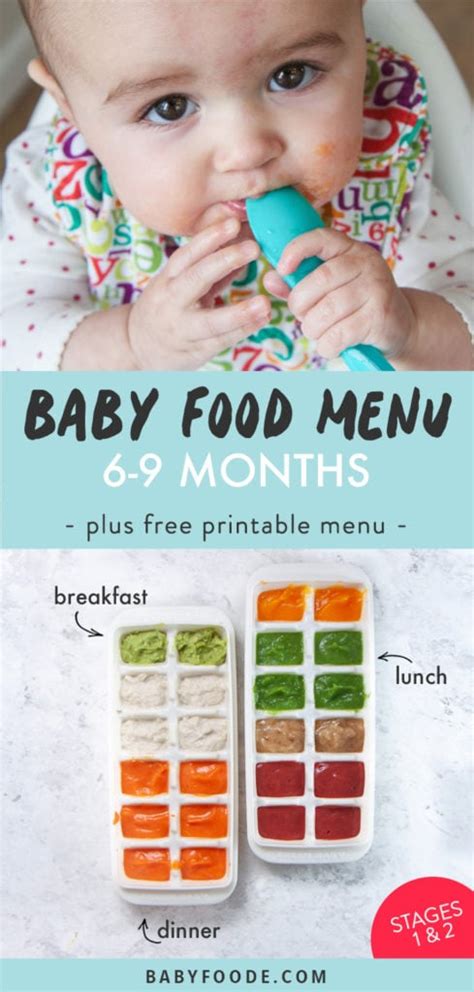 6 months baby food recipes. 6-9 Month Old Baby Food Puree Menu (FREE Printable) - Baby ...