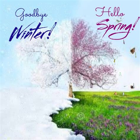 Goodbye Winter Hello Spring Welcome Spring Template Postermywall