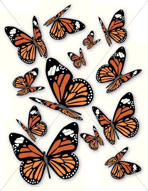 Monarch Butterflies Clipart 20 Free Cliparts Download Images On