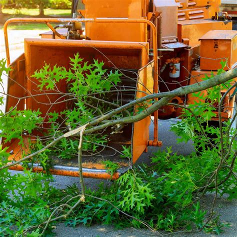 I think this was a great place to learn. Other Services | Lone Oak Lawns LLC