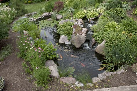 Aquascape Your Landscape Designing Your Dream Pond