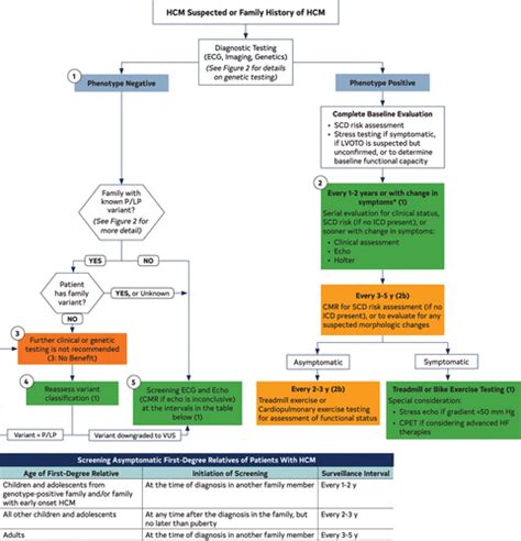 2020 aha acc guideline for the diagnosis and treatment of patients with hypertrophic