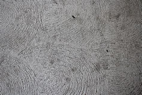 Scalloped Cement Sidewalk Texture Picture | Free Photograph | Photos ...