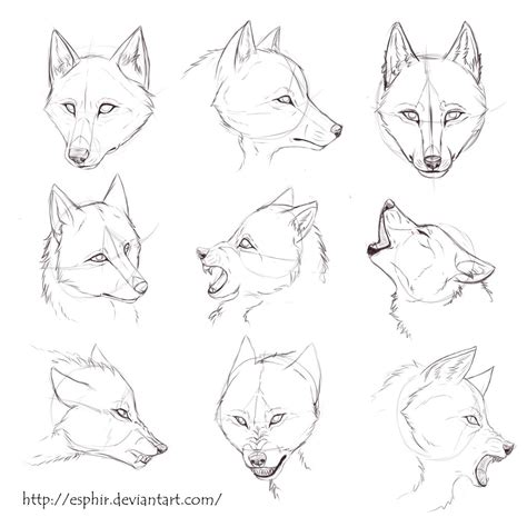 Werewolf Ears Drawing Wolf Ears Sketch At Paintingvalleycom Asapmaid