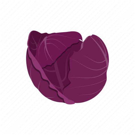 Red Cabbage Transparent Png Png Mart