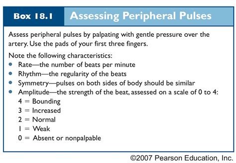 Peripheral Pulse Assessment Nursing Health Assessment Nursing