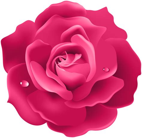 Top 100 Rosas Fucsias Png Abzlocalmx