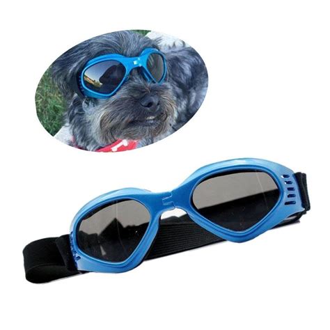 Enjoying Stylish Petdog Uv Goggles Sunglasses Check Out The Image By
