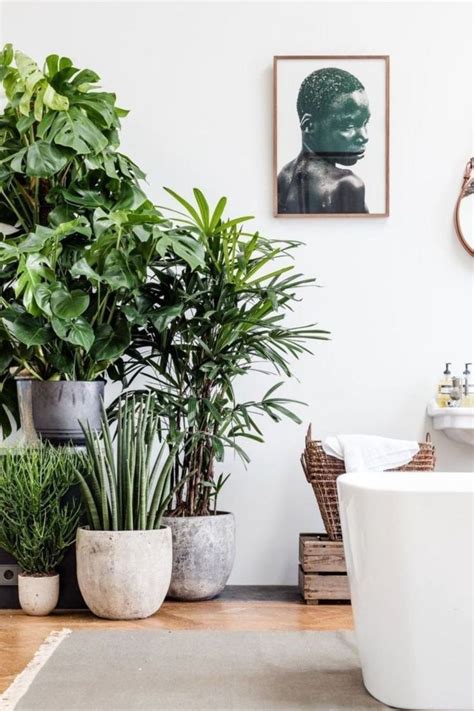 40 Indoor Plant Decor Ideas For Small Apartment
