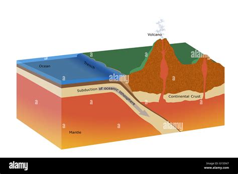 Cutaway Artwork Of A Subduction Zone The Tectonic Plates Of The Earth