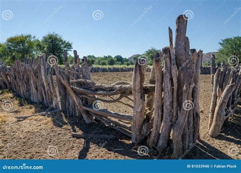 Traditional Wooden Kraal Or Enclosure For Cattles Of Himba Tribe People