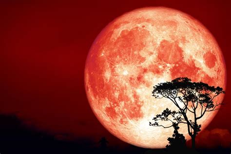 Orange Full Hunters Moon How To See It In The Night Sky On 13 October