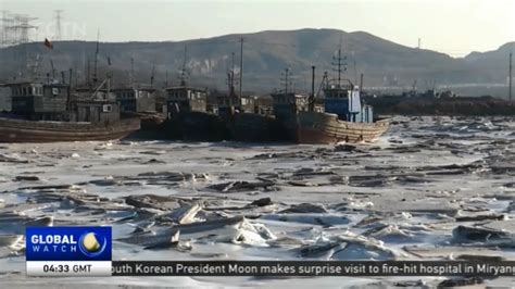 Sea Ice In Bohai Sea Ice Covered Bohai Bay Cripples Fish Stocks And