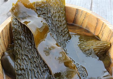 Seaweed Nutrition The Oceans Superfood