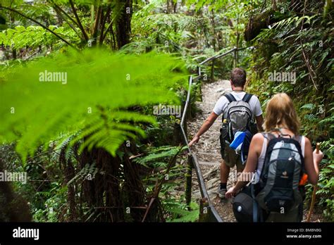 Couple Hiking Through Tropical Forest On The Mt Kinabalu Summit Trail Kinabalu National Park