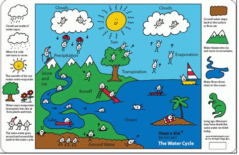 6th Grade The Water Cycle Ms Sylvesters Science Page