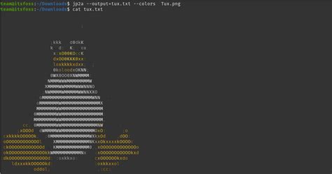 10 Tools To Have Fun With Ascii Art In Linux Terminal