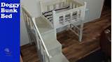 Bunk Beds For Dogs Images