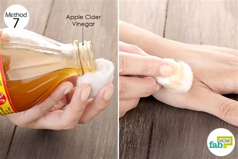 The microfiber mesh in a bug remover sponge prevents scratches when brushing the bugs off. How to Treat Bed Bug Bites: Home Remedies for Relief | Fab How