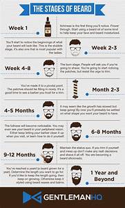 The Stages Of Beard Brooklyn Grooming