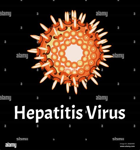 Estructura Del Virus De La Hepatitis Infección Viral Hepatitis