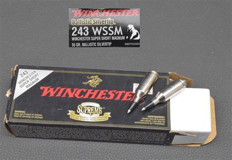 243 Wssm Patronen Von Winchester 55gr Ballistic Silvertip Zum