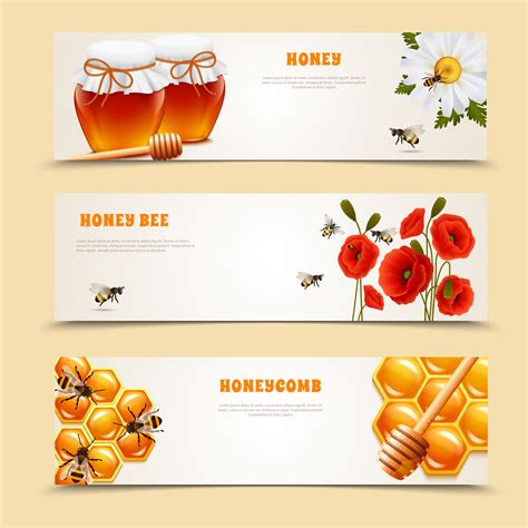 Three Honey Banner Set Download Free Vectors Clipart Graphics