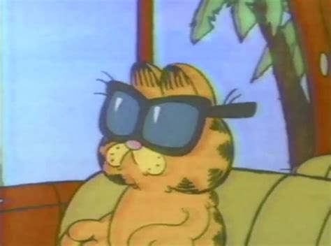 Garfield With Sunglasses Cute Cartoon Wallpapers Cartoon Profile