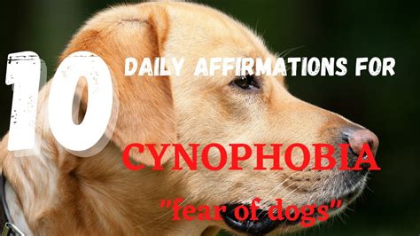 10 Daily Affirmations For Cynophobia Fear Of Dogs Youtube
