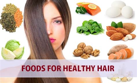 What are the nutrients for help to hair growth. 10 Tip Foods for Healthy Hair, Hair Loss and Hair Growth