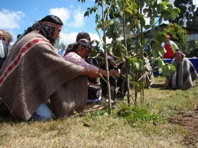 Pueblo Mapuche: Alimentación