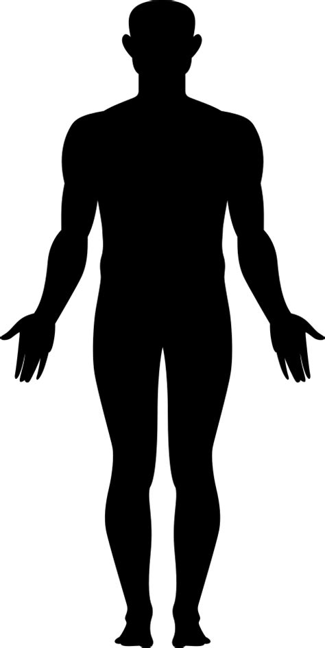 Human Clipart Whole Body Human Whole Body Transparent Free For