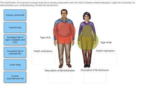 Solved The Distribution Of A Persons Excess Body Fat Is