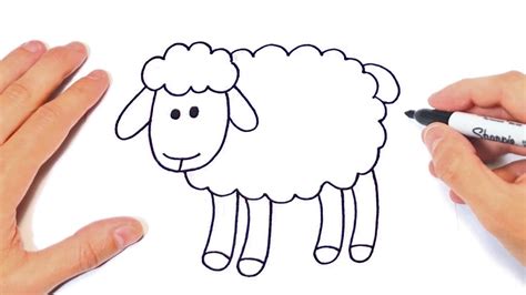 How To Draw A Sheep Step By Step Sheep Drawing Lesson Youtube