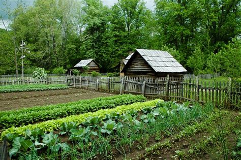 Homesteading, homemaking, organic gardening, cooking from scratch, frugal living, natural parenting, preparedness, simple living, back to basics. 14 Important Ideas About What Every Homestead Needs and ...