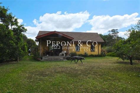 For Rent: Stunning Cottage, Ololua Ridge,, Karen, Nairobi ...