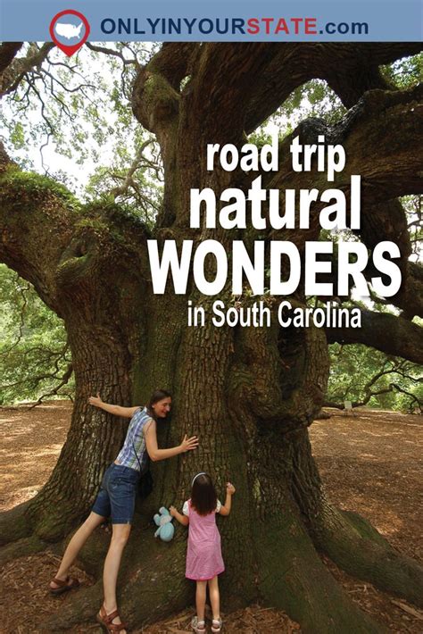 This Natural Wonders Road Trip Will Show You South Carolina Like Youve