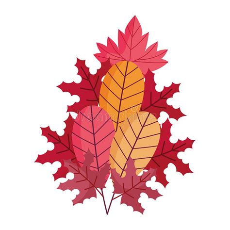 Isolated Autumn Leaves Vector Design Stock Vector Illustration Of