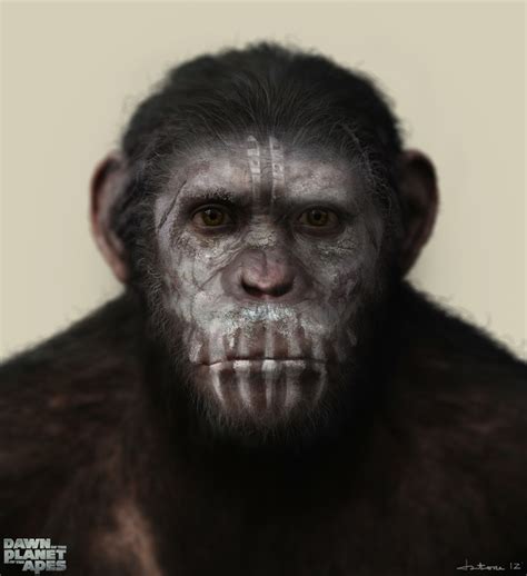 Artstation The Dawn Of The Planet Of The Apes Caesar Warpaint Concept